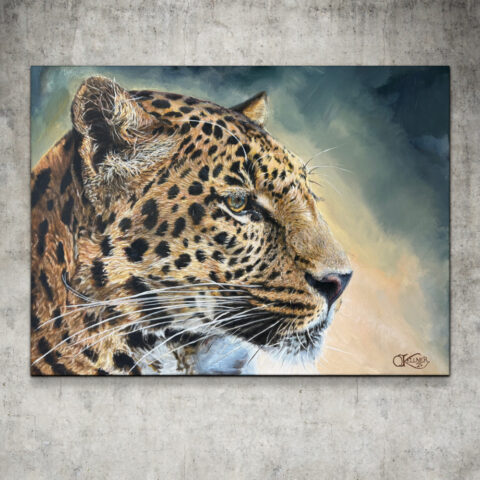 Leopard #103