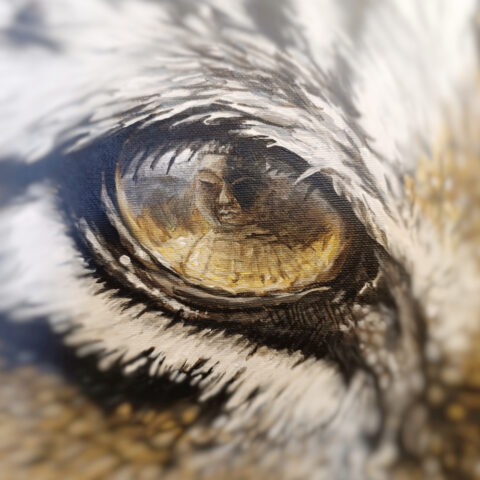 Strážce Buddhy #113